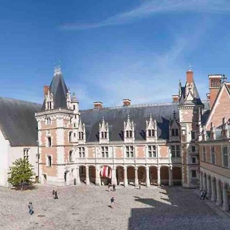 Petite Maison Avec Clim Блуа Экстерьер фото