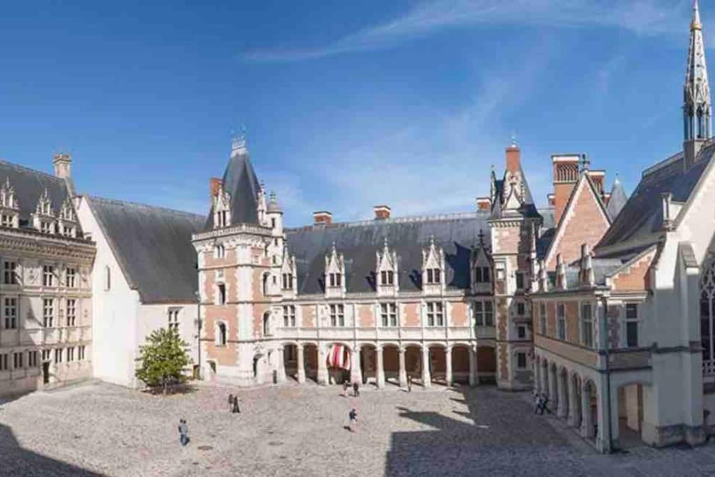 Petite Maison Avec Clim Блуа Экстерьер фото